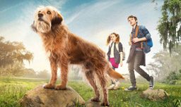 Benji-Netflix-Movie-Review-Ratings