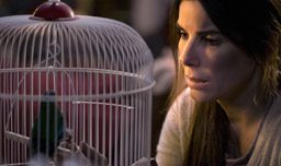 Bird-Box-Review-Ratings--Netflix