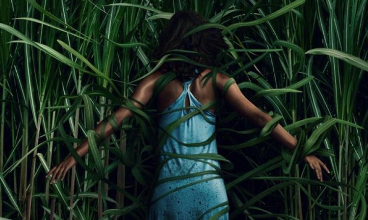 In The Tall Grass Movie Review, In the Tall Grass Netflix Movie Review, Ratings