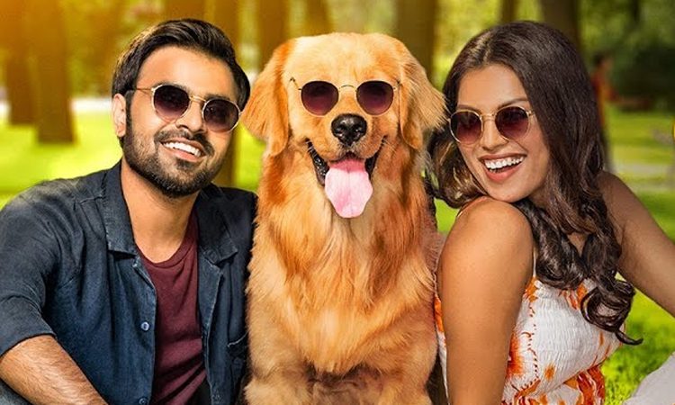 Cheesecake Trailer Talk: Hitting All The Right Notes