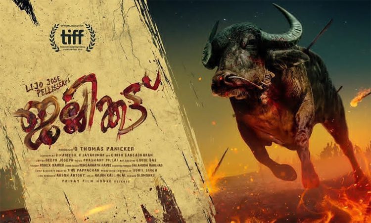 Freshly Arrived-Jallikattu- A Visceral Experience That Leaves Mixed Emotions-