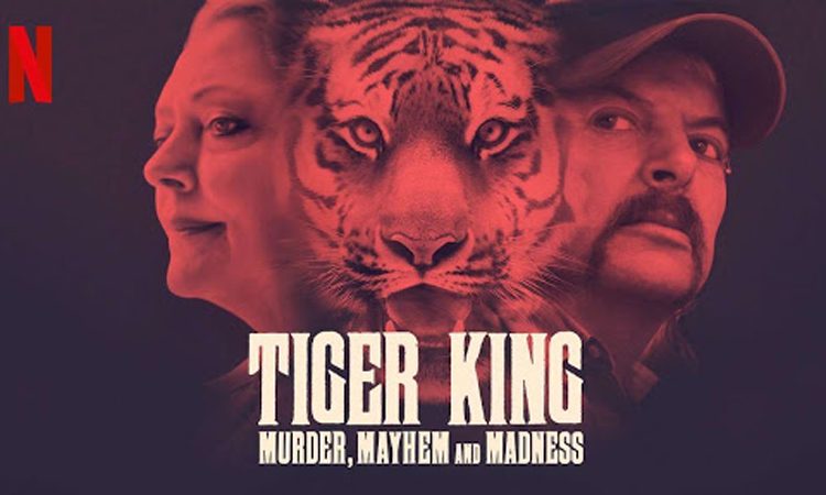 Tiger King Smashes Streaming Records For Netflix According To Nielsen Ratings