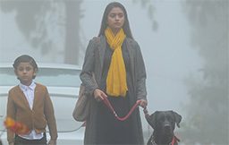 Penguin Movie Review | Penguin Amazon Prime Review