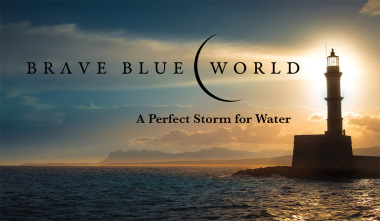 ⁩Brave Blue World: Netflix’s Conscious Efforts to Make a Change