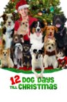 12 Dog Days Till Christmas Movie Streaming Online Watch on Tubi