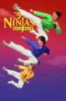 3 Ninjas Kick Back Movie Streaming Online Watch on Netflix