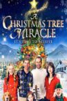 A Christmas Tree Miracle Movie Streaming Online Watch on Tubi