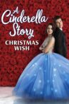 A Cinderella Story: Christmas Wish Movie Streaming Online Watch on Netflix