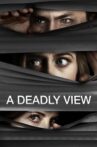 A Deadly View Movie Streaming Online Watch on Tubi