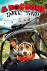 A Doggone Hollywood Movie Streaming Online Watch on Tubi