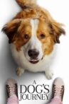 A Dog's Journey Movie Streaming Online Watch on Sony LIV
