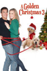 A Golden Christmas 3 Movie Streaming Online Watch on Tubi