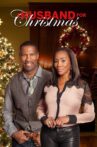 A Husband for Christmas Movie Streaming Online Watch on Tubi