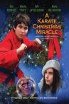 A Karate Christmas Miracle Movie Streaming Online Watch on Tubi