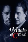 A Murder of Crows Movie Streaming Online Watch on Tubi