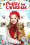 A Puppy for Christmas Movie Streaming Online Watch on Tubi