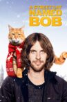 A Street Cat Named Bob Movie Streaming Online Watch on Amazon, Tubi