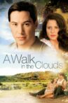 A Walk in the Clouds Movie Streaming Online Watch on Tata Sky