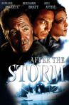 After the Storm Movie Streaming Online Watch on Tubi