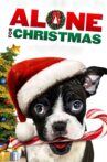 Alone for Christmas Movie Streaming Online Watch on Tubi