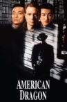 American Dragons Movie Streaming Online Watch on Tubi
