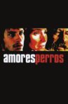 Amores Perros Movie Streaming Online Watch on Tubi