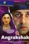 Angrakshak Movie Streaming Online Watch on Amazon
