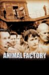 Animal Factory Movie Streaming Online Watch on Amazon, Tubi