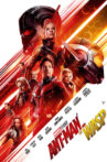 Ant-Man and the Wasp Movie Streaming Online Watch on Disney Plus Hotstar, Google Play, Tata Sky , Youtube, iTunes