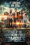 Attack Of The Southern Fried Zombies Movie Streaming Online Watch on Tubi