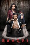 Baaghi Movie Streaming Online Watch on Google Play, Netflix , Youtube, Zee5, iTunes