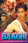 Baaghi: A Rebel for Love Movie Streaming Online Watch on Zee5