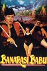 Banarasi Babu Movie Streaming Online Watch on Amazon