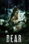 Bear Movie Streaming Online Watch on Tubi