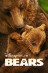 Bears Movie Streaming Online Watch on Disney Plus Hotstar