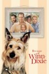 Because of Winn-Dixie Movie Streaming Online Watch on Disney Plus Hotstar, Google Play, Tata Sky , Youtube, iTunes