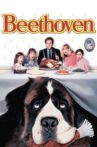 Beethoven Movie Streaming Online Watch on Google Play, Youtube