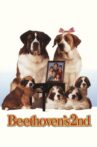 Beethoven's 2nd Movie Streaming Online Watch on Google Play, Youtube, iTunes