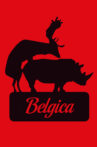 Belgica Movie Streaming Online Watch on Netflix