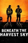 Beneath the Harvest Sky Movie Streaming Online Watch on Tubi
