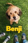 Benji Movie Streaming Online Watch on Netflix