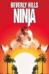 Beverly Hills Ninja Movie Streaming Online Watch on Google Play, Youtube, iTunes