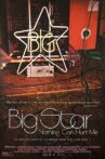 Big Star: Nothing Can Hurt Me Movie Streaming Online Watch on Tubi