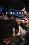 Bird Box Movie Streaming Online Watch on Netflix