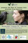 Bird Brain Movie Streaming Online Watch on Curiosity Stream