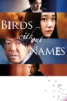 Birds Without Names Movie Streaming Online Watch on Tubi