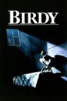 Birdy Movie Streaming Online Watch on Tubi