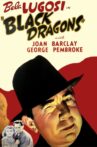 Black Dragons Movie Streaming Online Watch on MX Player