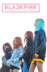 BLACKPINK: Light Up the Sky Movie Streaming Online Watch on Netflix