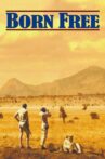 Born Free Movie Streaming Online Watch on MX Player
